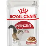Royal Canin Wet Food For Adult Cats 85gm